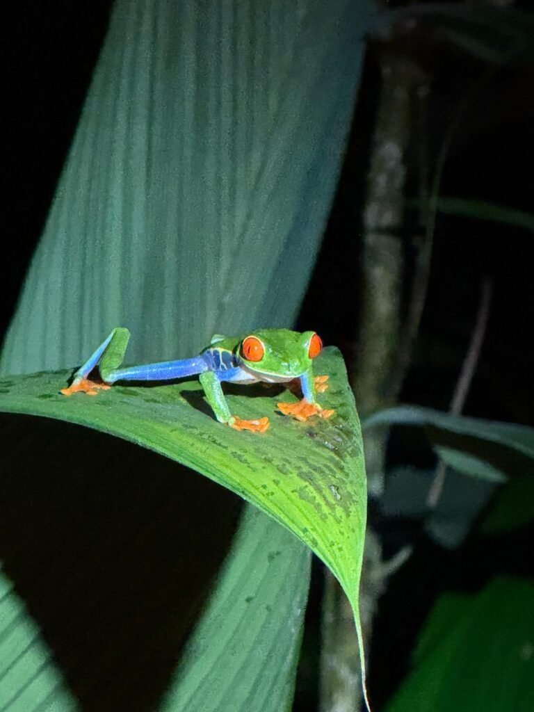 top-wildlife-arenal-rafting