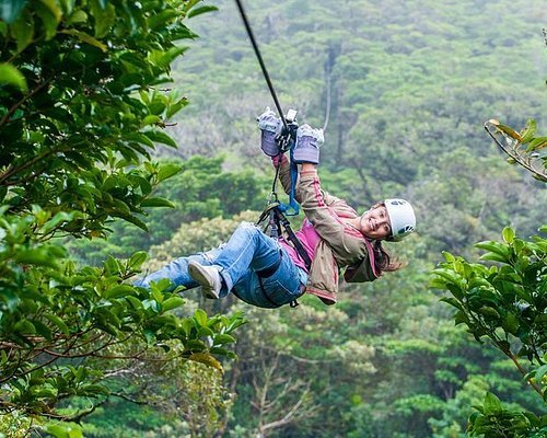 zipline Selva Verde